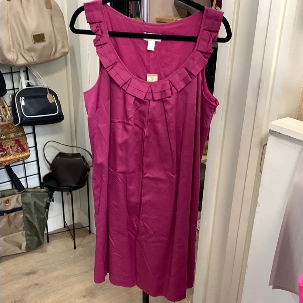 NWT Loft dress